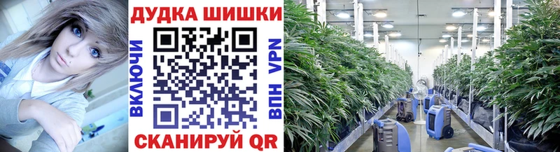 Продажа наркотиков Сольцы КОКАИН  Конопля  Меф  ГАШ 
