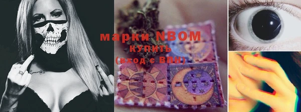 гашик Алзамай