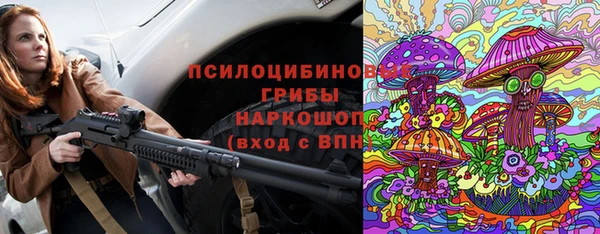 гашик Алзамай