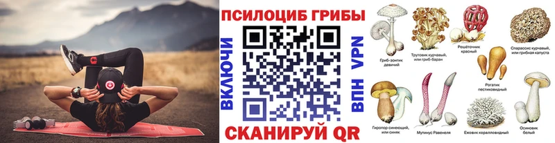 Галлюциногенные грибы Psilocybe  что такое наркотик  Сольцы 